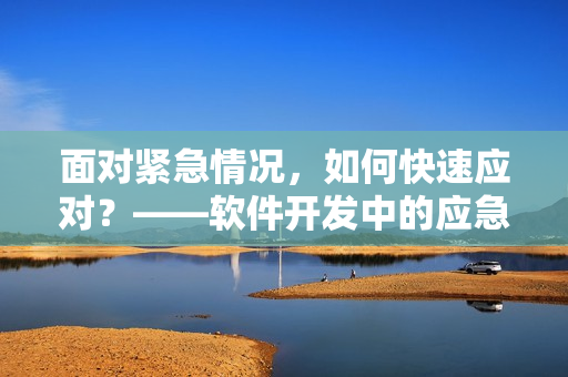 面对紧急情况，如何快速应对？——软件开发中的应急处理方法