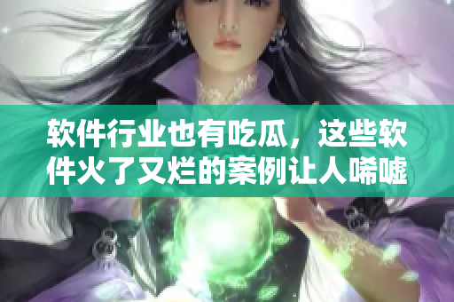软件行业也有吃瓜，这些软件火了又烂的案例让人唏嘘不已