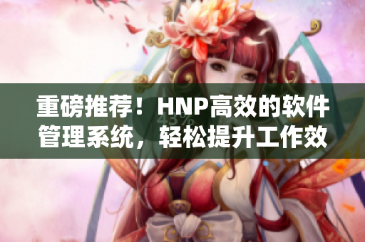 重磅推荐！HNP高效的软件管理系统，轻松提升工作效率