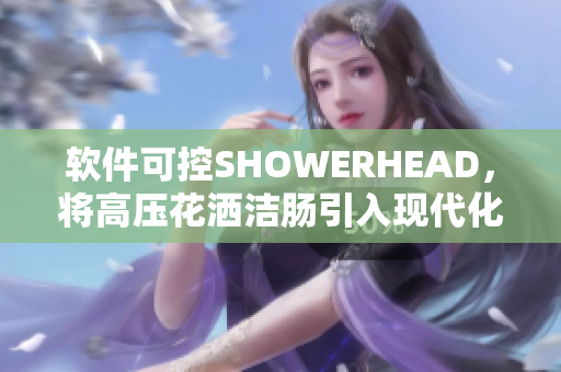 软件可控SHOWERHEAD，将高压花洒洁肠引入现代化。