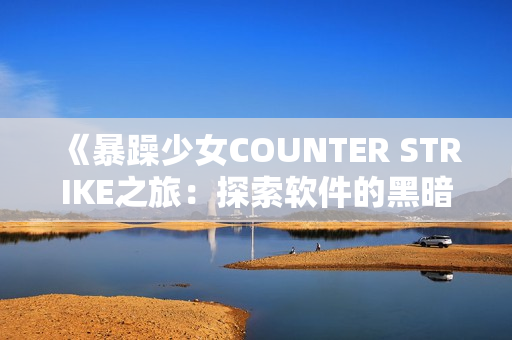 《暴躁少女COUNTER STRIKE之旅：探索软件的黑暗面》