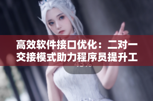 高效软件接口优化：二对一交接模式助力程序员提升工作效率