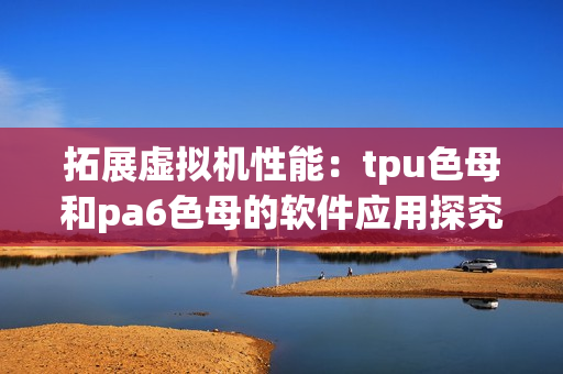 拓展虚拟机性能：tpu色母和pa6色母的软件应用探究