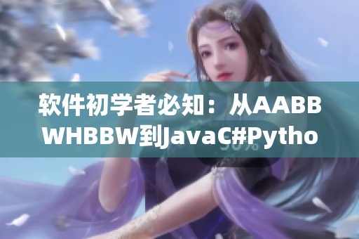 软件初学者必知：从AABBWHBBW到JavaC#Python