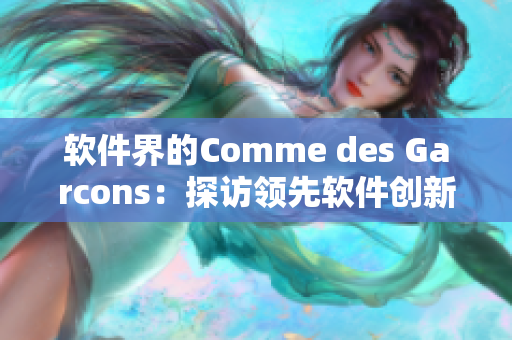 软件界的Comme des Garcons：探访领先软件创新公司