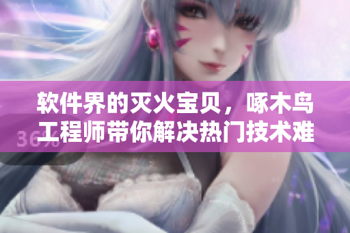 软件界的灭火宝贝，啄木鸟工程师带你解决热门技术难题