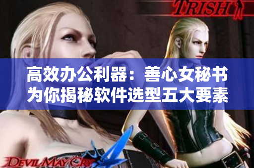高效办公利器：善心女秘书为你揭秘软件选型五大要素
