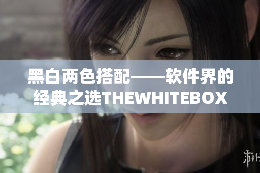 黑白两色搭配——软件界的经典之选THEWHITEBOX