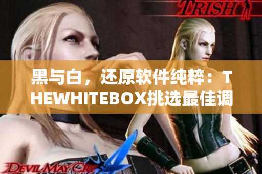 黑与白，还原软件纯粹：THEWHITEBOX挑选最佳调色软件