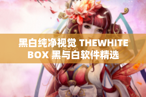 黑白纯净视觉 THEWHITEBOX 黑与白软件精选