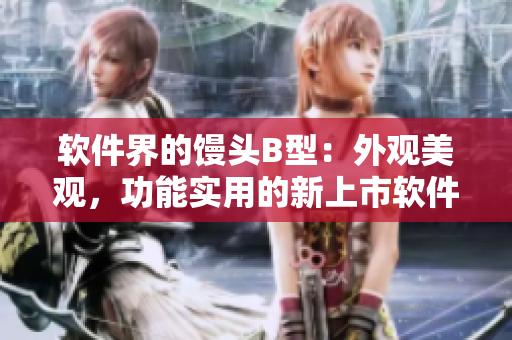 软件界的馒头B型：外观美观，功能实用的新上市软件