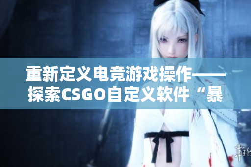 重新定义电竞游戏操作——探索CSGO自定义软件“暴躁小阿姨”