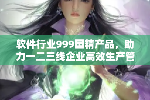 软件行业999国精产品，助力一二三线企业高效生产管理