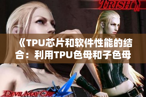 《TPU芯片和软件性能的结合：利用TPU色母和子色母提升软件速度》