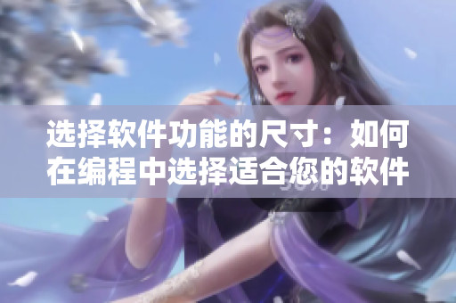 选择软件功能的尺寸：如何在编程中选择适合您的软件设计方案