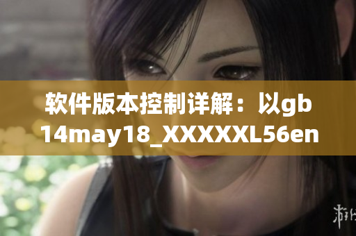 软件版本控制详解：以gb14may18_XXXXXL56endian为例