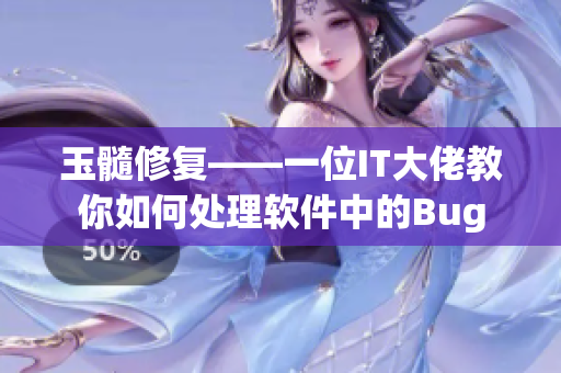 玉髓修复——一位IT大佬教你如何处理软件中的Bug