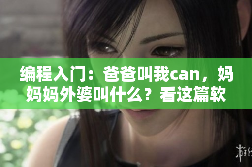 编程入门：爸爸叫我can，妈妈妈外婆叫什么？看这篇软件开发教程！