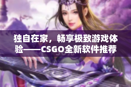 独自在家，畅享极致游戏体验——CSGO全新软件推荐