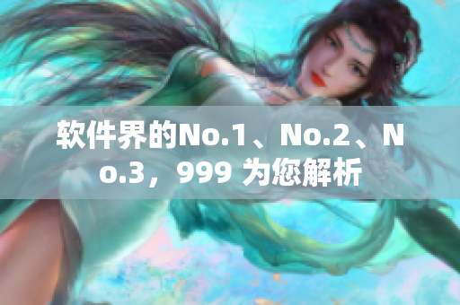 软件界的No.1、No.2、No.3，999 为您解析