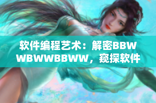 软件编程艺术：解密BBWWBWWBBWW，窥探软件工程的奥秘