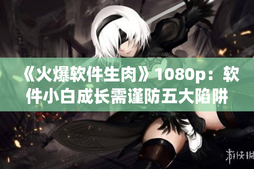 《火爆软件生肉》1080p：软件小白成长需谨防五大陷阱！