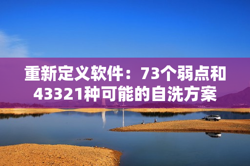 重新定义软件：73个弱点和43321种可能的自洗方案