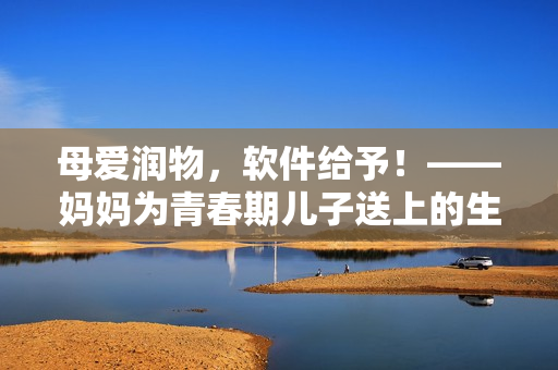 母爱润物，软件给予！——妈妈为青春期儿子送上的生日软件礼物