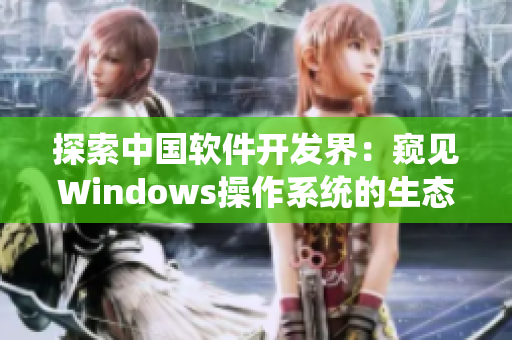 探索中国软件开发界：窥见Windows操作系统的生态系统