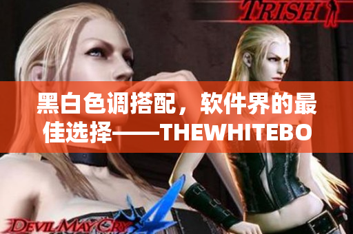 黑白色调搭配，软件界的最佳选择——THEWHITEBOX