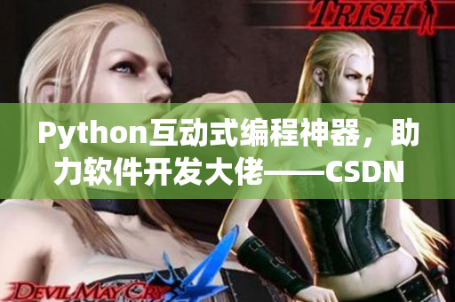 Python互动式编程神器，助力软件开发大佬——CSDN机构推荐