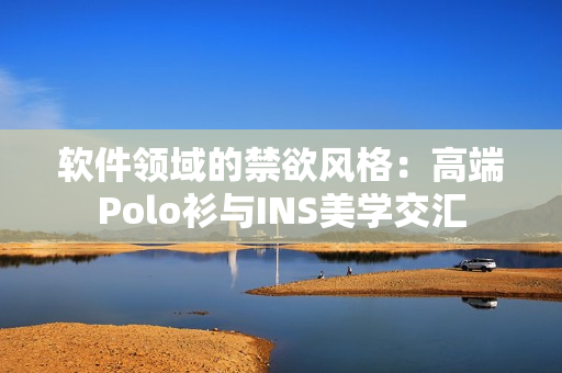 软件领域的禁欲风格：高端Polo衫与INS美学交汇