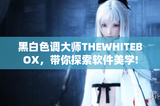 黑白色调大师THEWHITEBOX，带你探索软件美学!