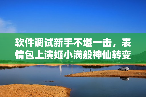 软件调试新手不堪一击，表情包上演姬小满般神仙转变！