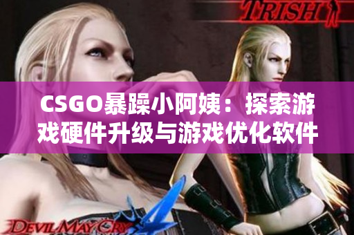 CSGO暴躁小阿姨：探索游戏硬件升级与游戏优化软件推荐