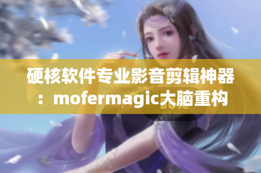 硬核软件专业影音剪辑神器：mofermagic大脑重构