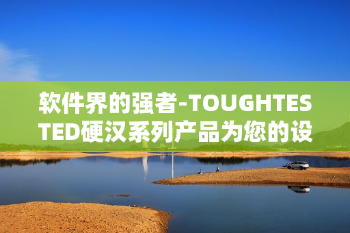 软件界的强者-TOUGHTESTED硬汉系列产品为您的设备保驾护航