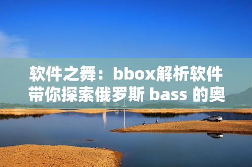 软件之舞：bbox解析软件带你探索俄罗斯 bass 的奥秘