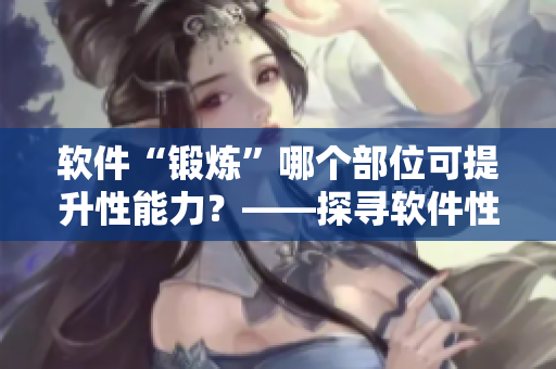 软件“锻炼”哪个部位可提升性能力？——探寻软件性能优化的内涵