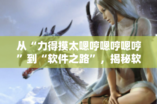 从“力得摸太嗯哼嗯哼嗯哼”到“软件之路”，揭秘软件开发背后的故事
