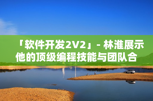 「软件开发2V2」- 林淮展示他的顶级编程技能与团队合作精神！