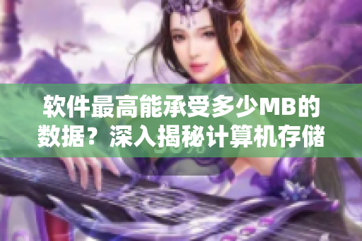 软件最高能承受多少MB的数据？深入揭秘计算机存储极限！