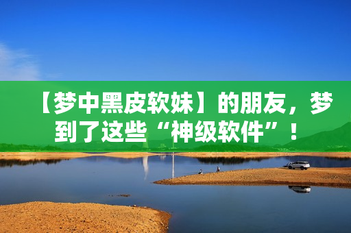 【梦中黑皮软妹】的朋友，梦到了这些“神级软件”！