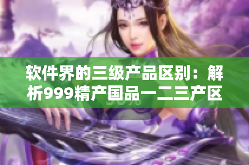 软件界的三级产品区别：解析999精产国品一二三产区
