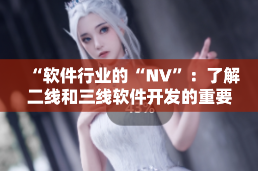 “软件行业的“NV”：了解二线和三线软件开发的重要性”