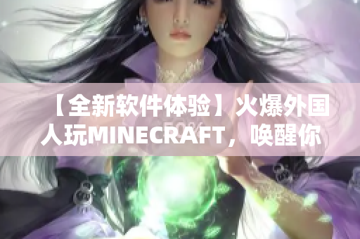 【全新软件体验】火爆外国人玩MINECRAFT，唤醒你的探险欲望！