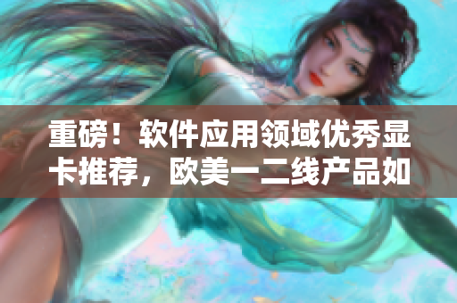 重磅！软件应用领域优秀显卡推荐，欧美一二线产品如何选择？