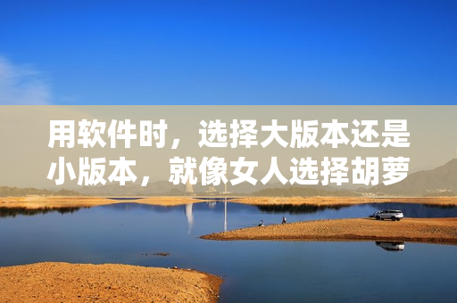 用软件时，选择大版本还是小版本，就像女人选择胡萝卜大头还是小头