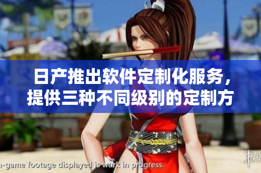 日产推出软件定制化服务，提供三种不同级别的定制方案