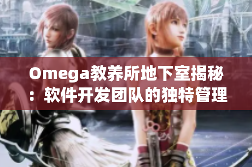 Omega教养所地下室揭秘：软件开发团队的独特管理之道